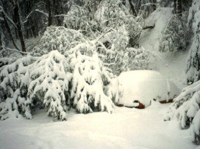 Blizzard - 1991 Halloween blizzard