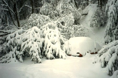 Blizzard - 1991 Halloween blizzard