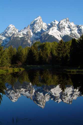 Snow capped peaks mirrored by a lake at Grand Teton National Park.