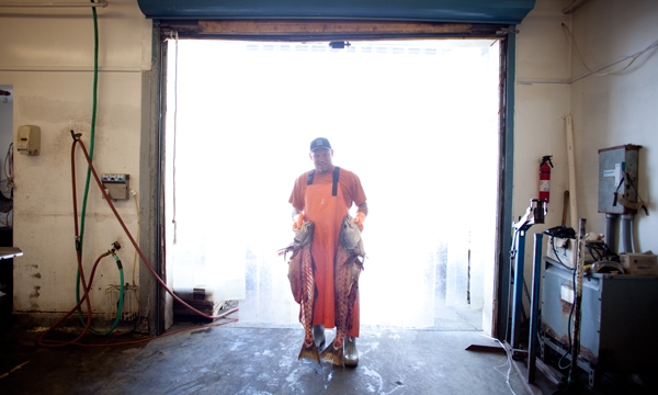 Fish monger