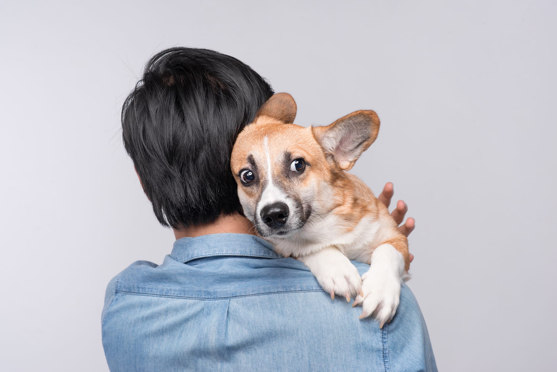 Can Pets Predict Earthquakes? - Farmers' Almanac Can Pets Predict Earthquakes? - Farmers' Almanac