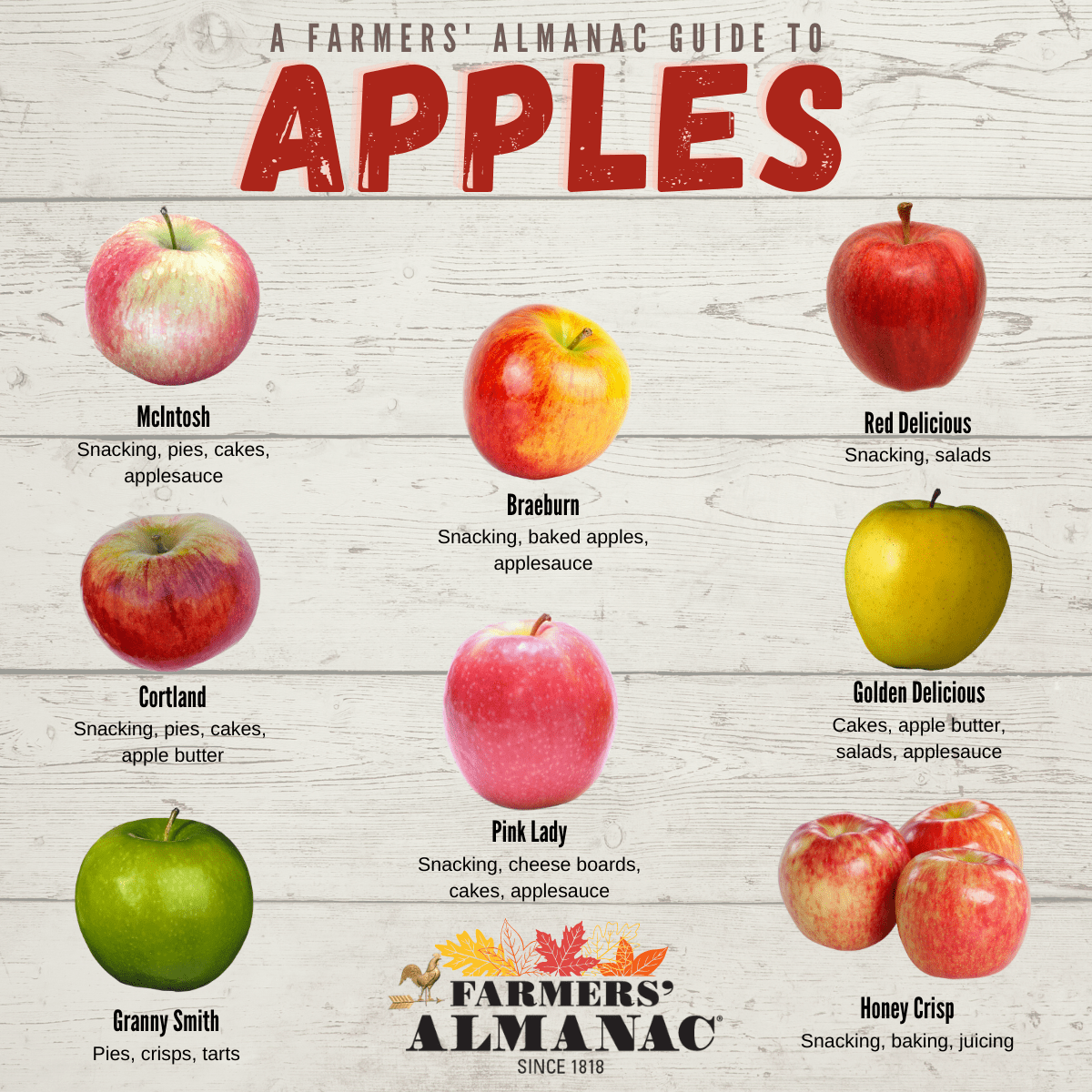 How to Pick the Best Apples