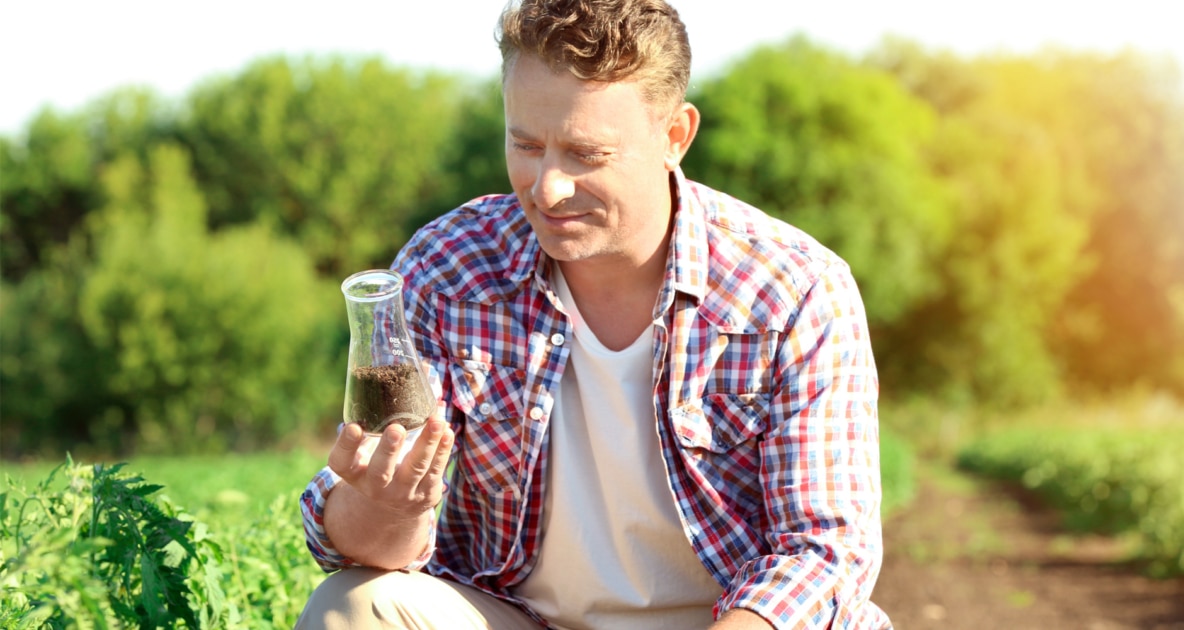 Stock photography - Soil