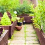 Raised-bed gardening - Landscaping