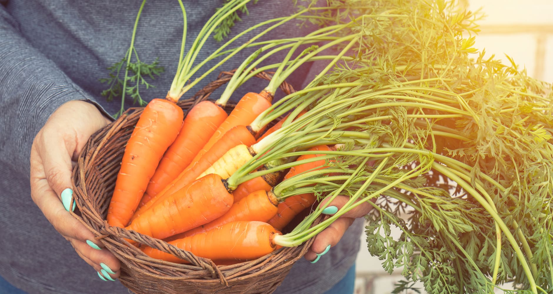 Don't Toss Those Tops! Veggies You Can Eat From Root To Stem Farmers