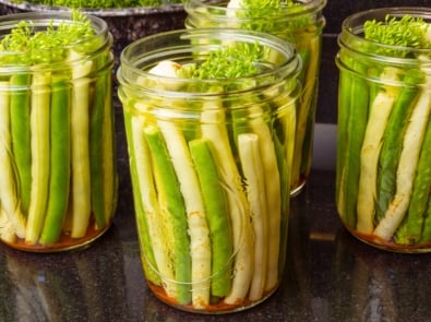 Pickle Anything Like A Pro! 10 Tips For Success featured image