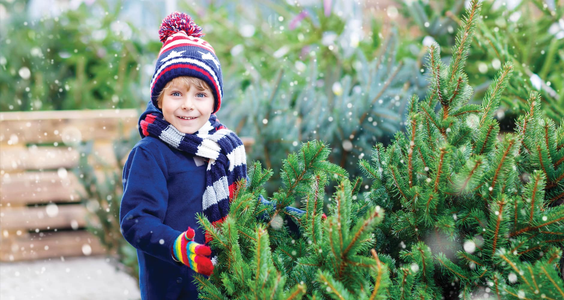 A family choosing a real Christmas tree at a snowy choose-and-cut tree farm.