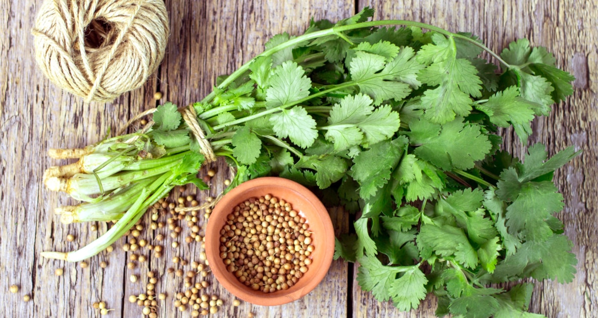 Coriander - Seed