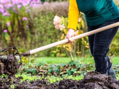 Easy Compost Tips You Can Really Use featured image