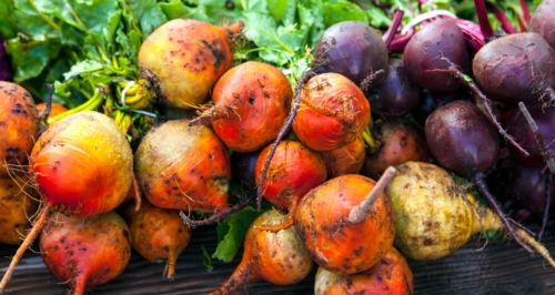 bunch of colorful beets.