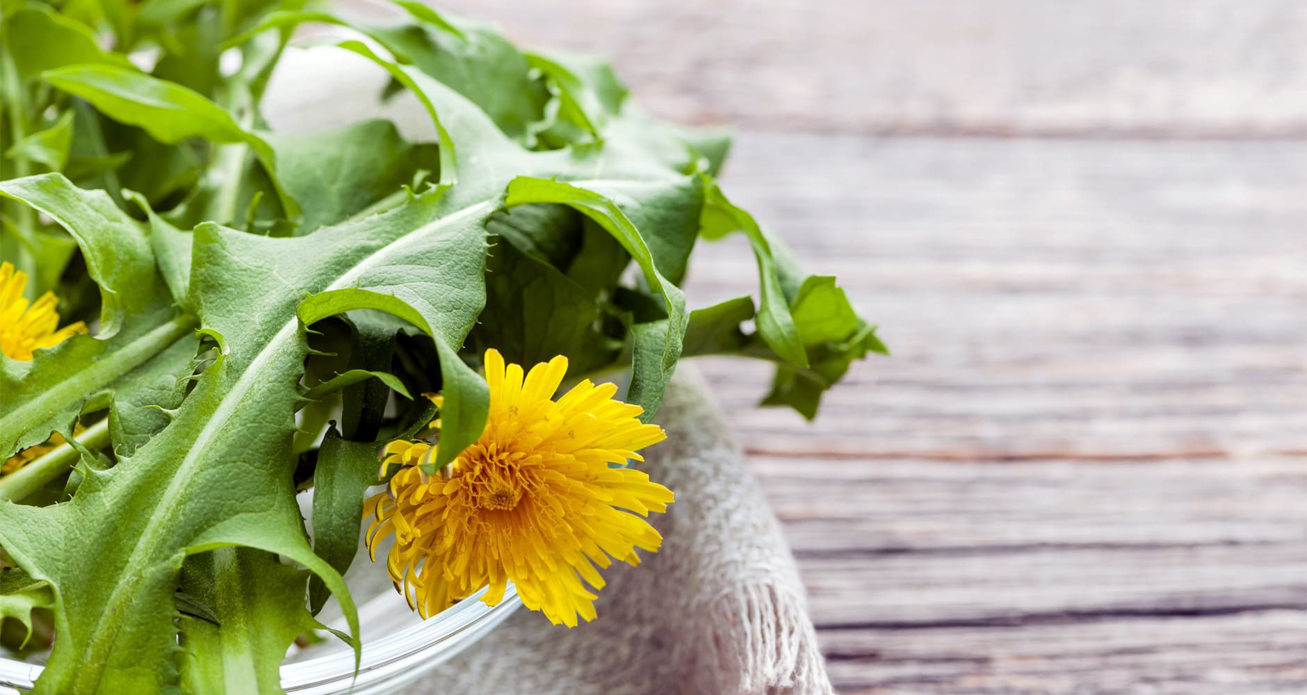 Sautéed Dandelion Greens Farmers