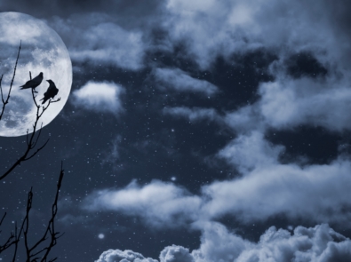 A Spring Constellation To Crow About featured image