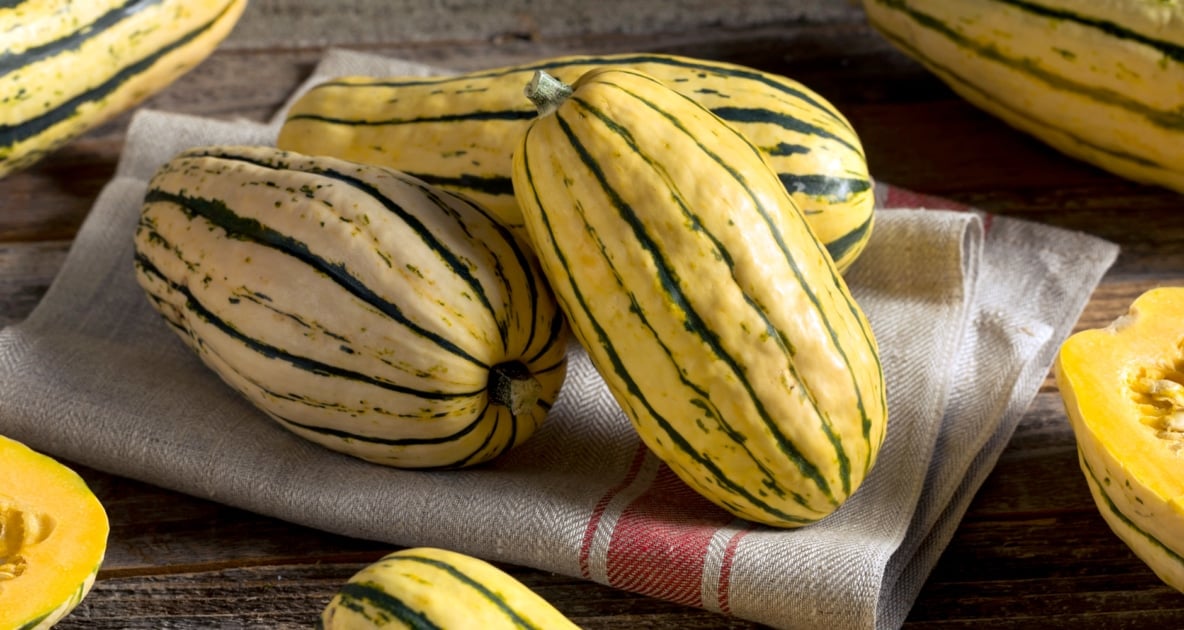 Delicata squash - Courgette