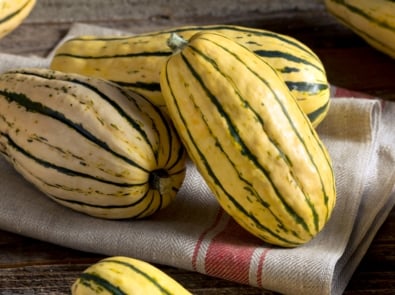 What The Heck Is Delicata Squash? featured image