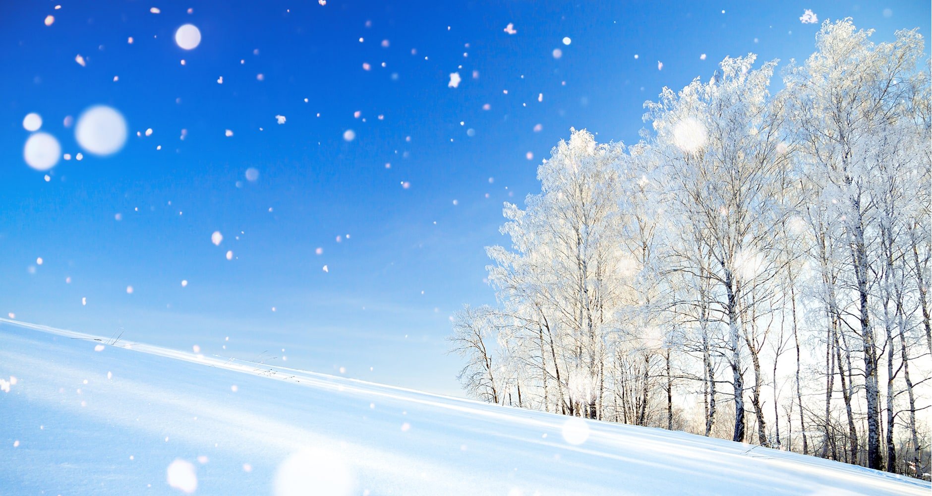 Diamond Dust: Snow From The Clear Blue Sky? - Farmers' Almanac