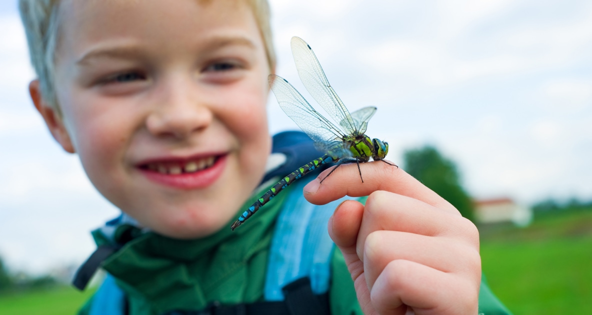 Pest control - Stock photography