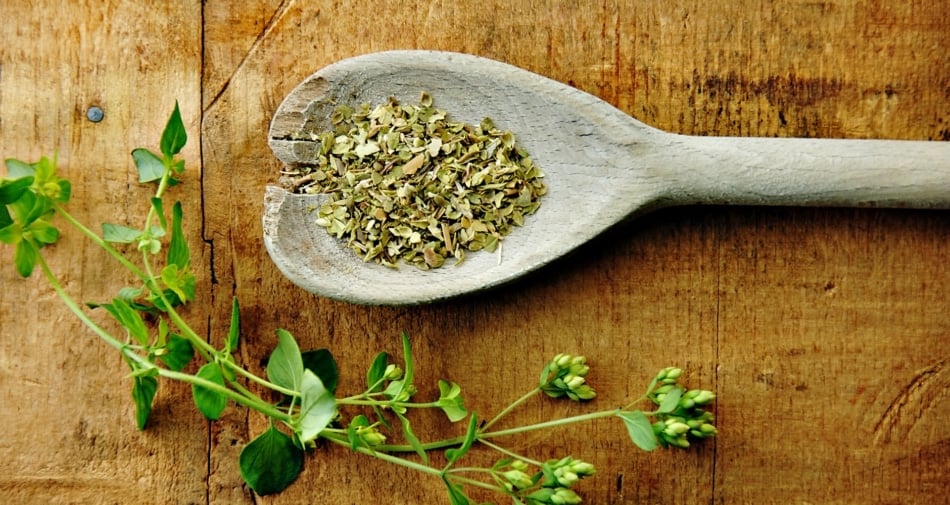 Oregano - Herb