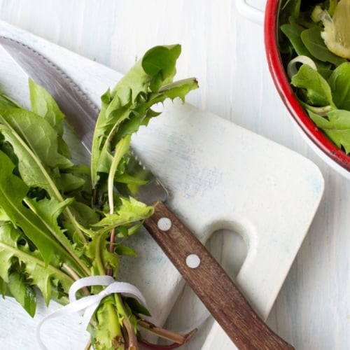 Salad - Common Dandelion