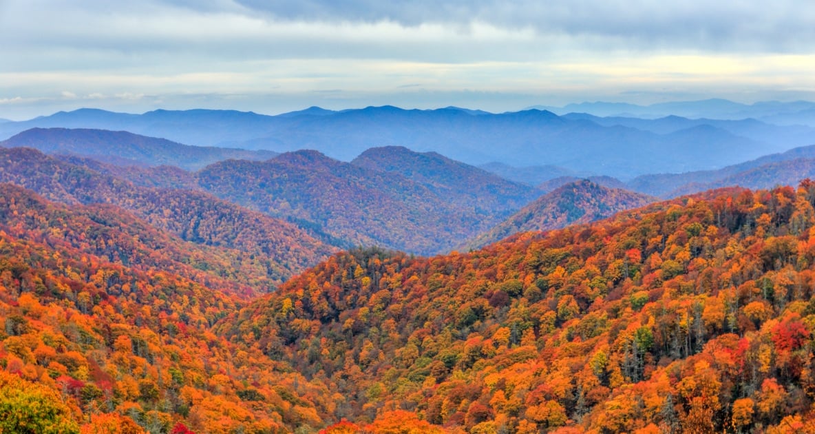 Clingmans Dome - Hiking in the Great Smoky Mountains National Park