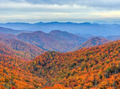 6 (More) Incredible Destinations To View Fall Leaves! featured image