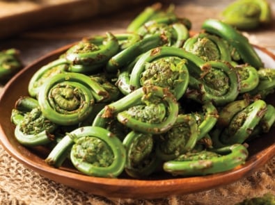 What the Heck Are Fiddleheads? featured image