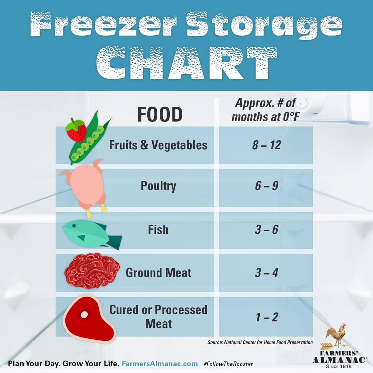 Frozen Food Storage Guide: How Long Can You Freeze Foods For