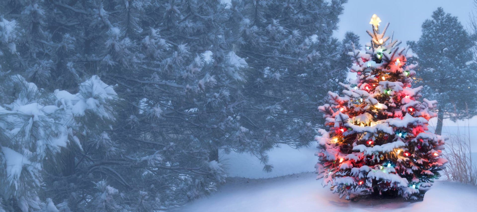 Christmas Weather Forecast 2024 Perth Carine Francesca