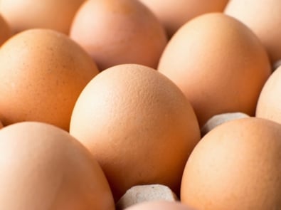 Cracking the Code on Supermarket Eggs: How Fresh Are They? featured image