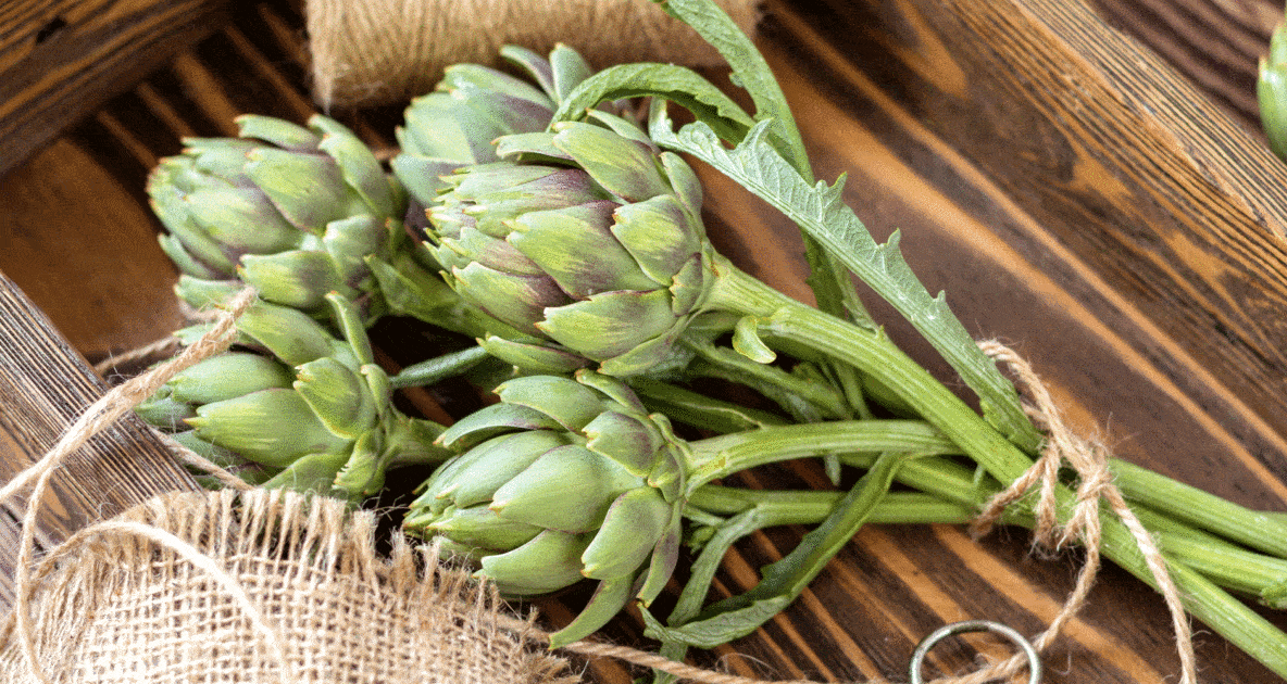 Plants - Artichoke