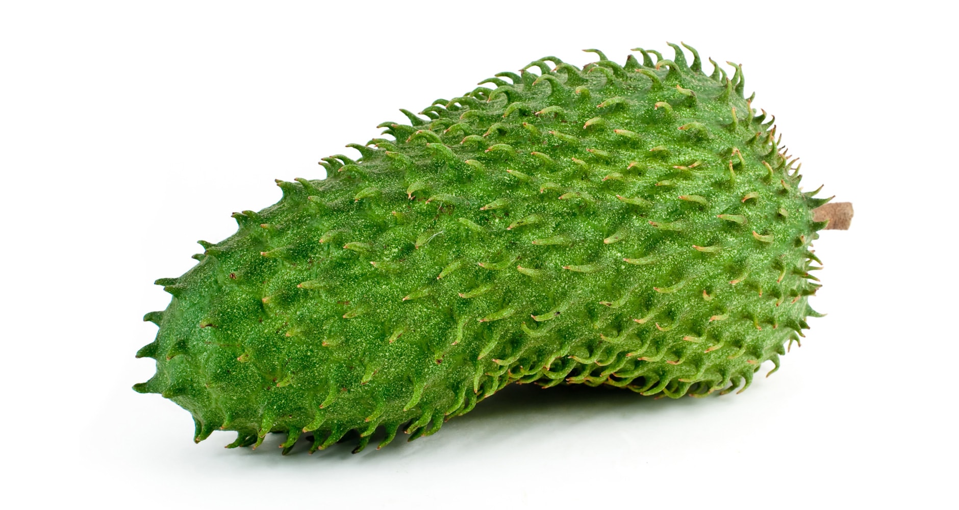 Grow Tropical Fruits In Your Living Room It S Easy