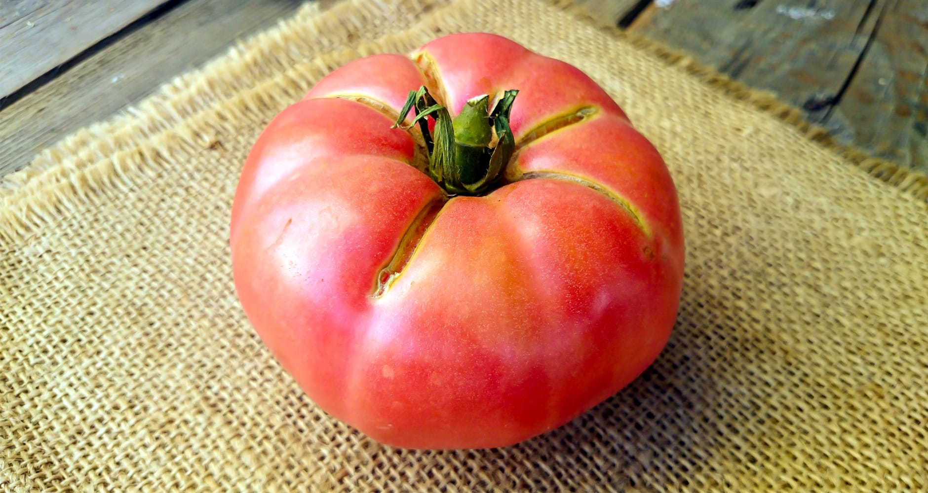 Fruit crack on a tomato.