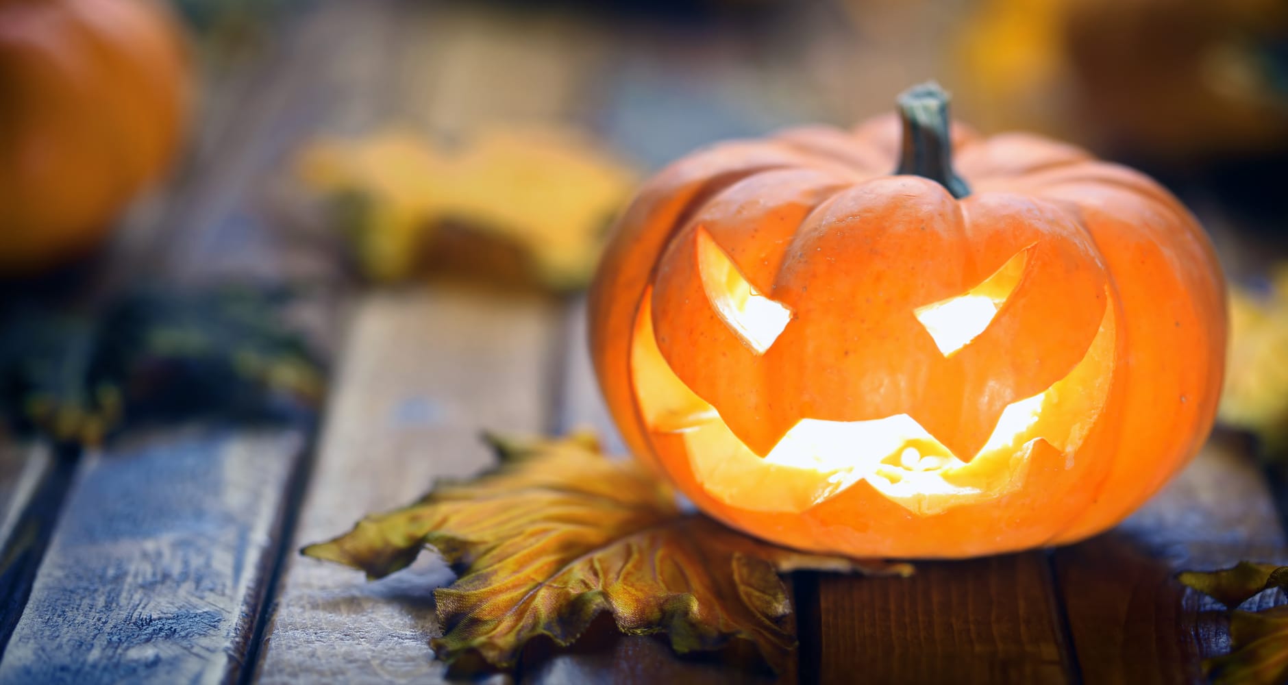 6 Ways You Can Make Halloween Safer For Your Pet Farmers #39 Almanac 6 Ways You Can Make Halloween Safer For Your Pet Farmers #39 Almanac
