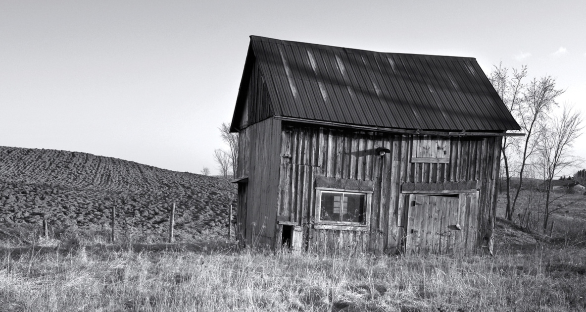 Farmhouse - Farm