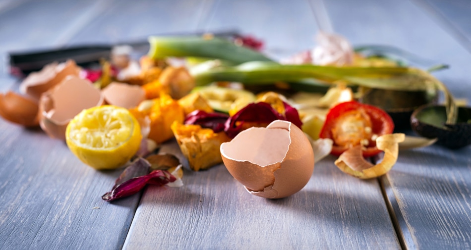 Colorful variety of food waste such as egg shells on the floor.