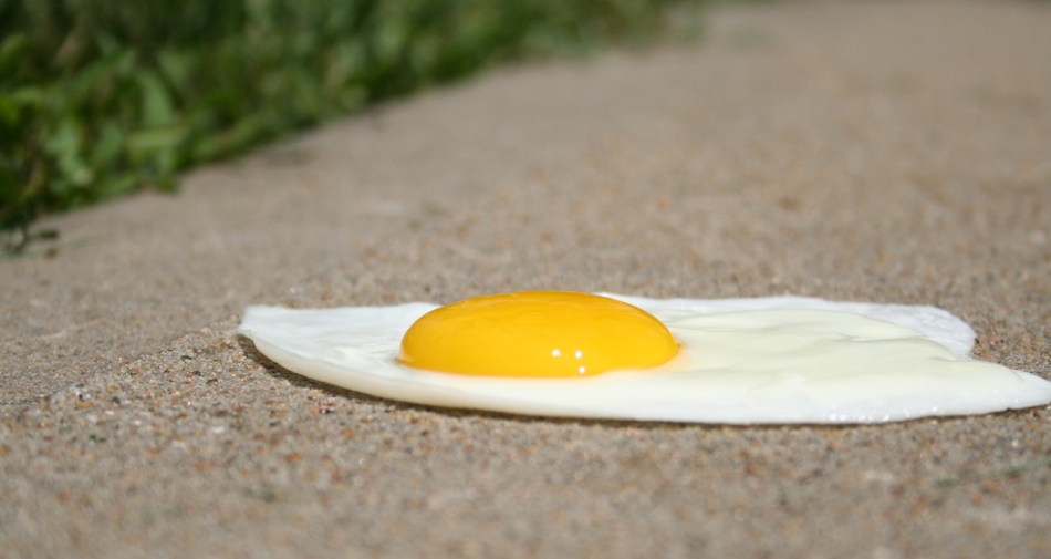 Hot Enough To Fry An Egg? Farmers' Almanac Plan Your Day. Grow Your