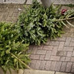 Stock photography - Design