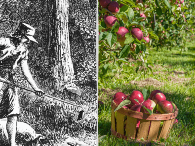 Celebrate Johnny Appleseed Day featured image