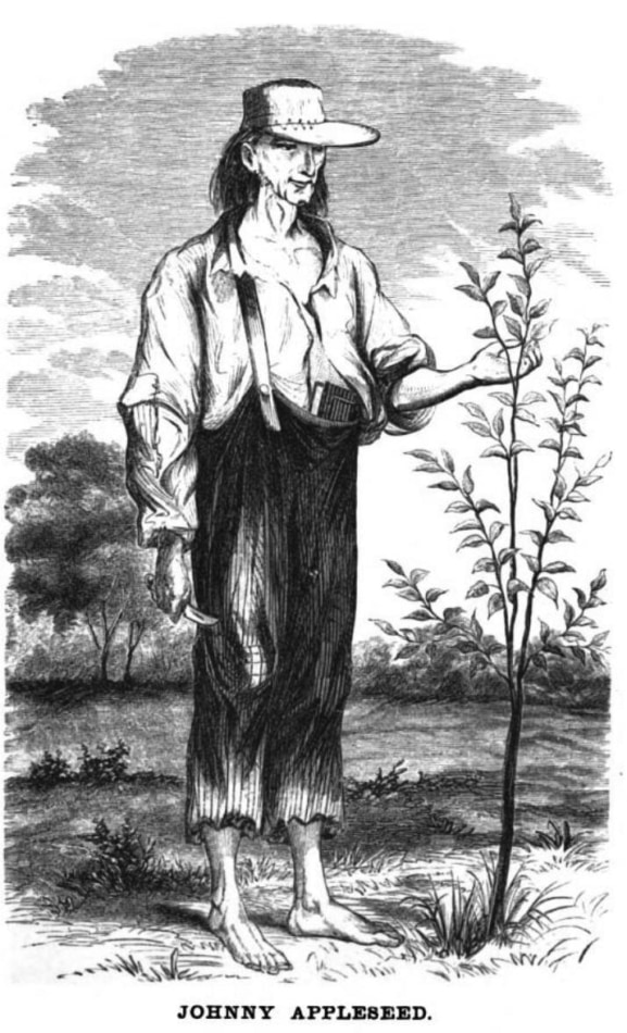 Illustration of Johnny Appleseed holding a baby apple tree.