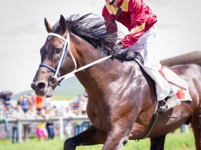 Kentucky Derby Traditions: The History Behind The Run For The Roses featured image