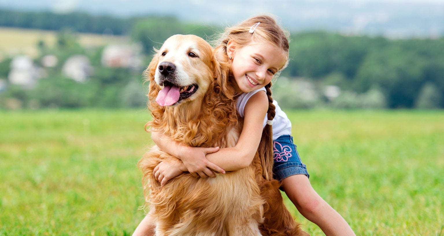 Fresh Look at Keep Ticks Off Pets 8 Natural Methods For Dogs And