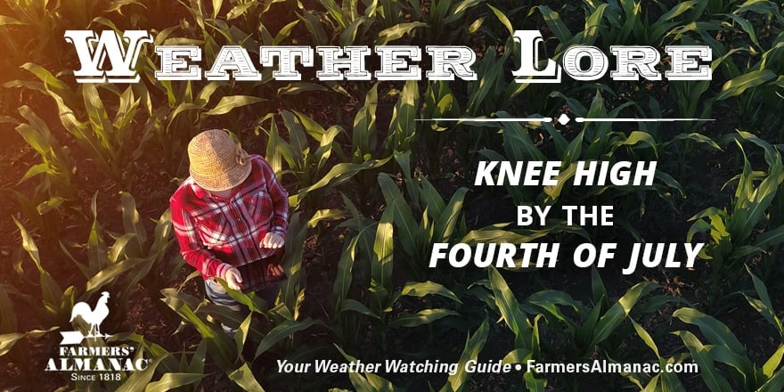Weather Lore Banner with quote, "Knee High by the Fourth of July."