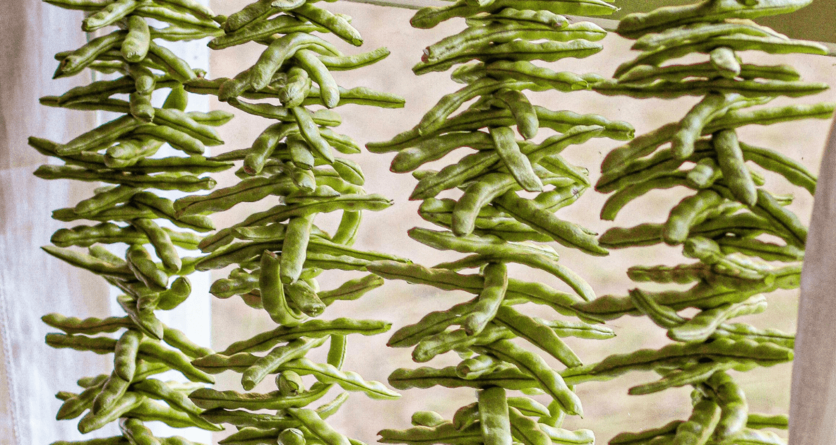 Green Beans - Vegetable