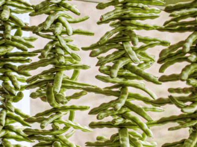 Dry Your String Beans Into “Leather Britches” featured image