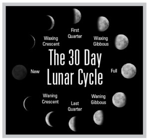 Lunar-Cycle