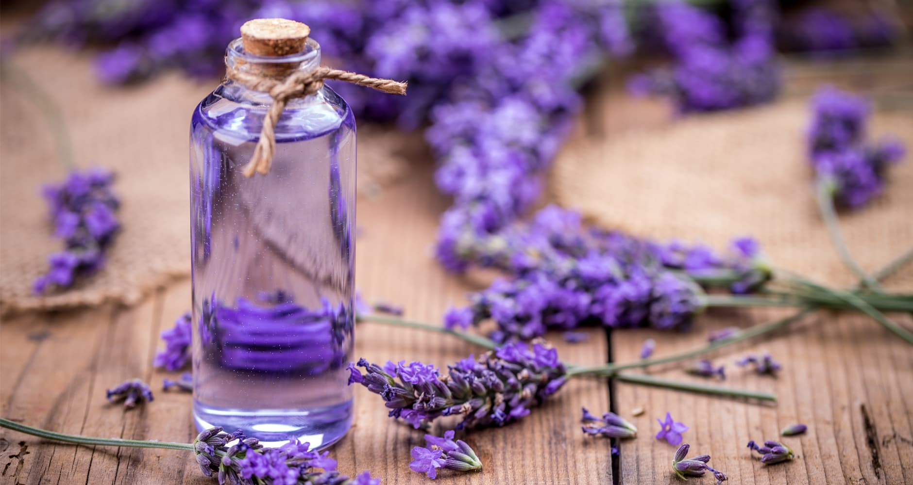 https://www.farmersalmanac.com/wp-content/uploads/2020/11/Make-Your-Own-Lavender-Vinegar-Rinse-A115846997.jpg