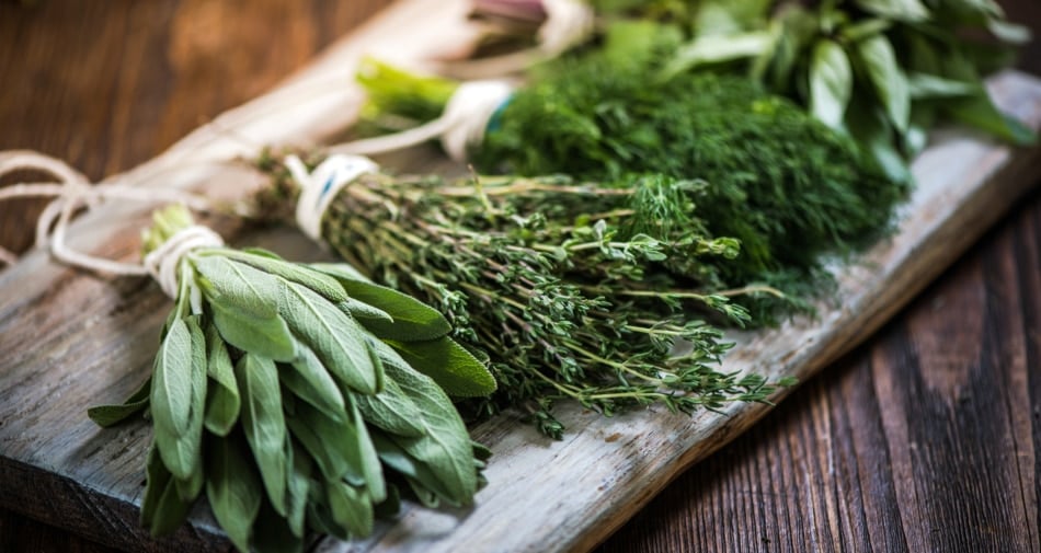 bunches of fresh herbs tied and ready to be dried.