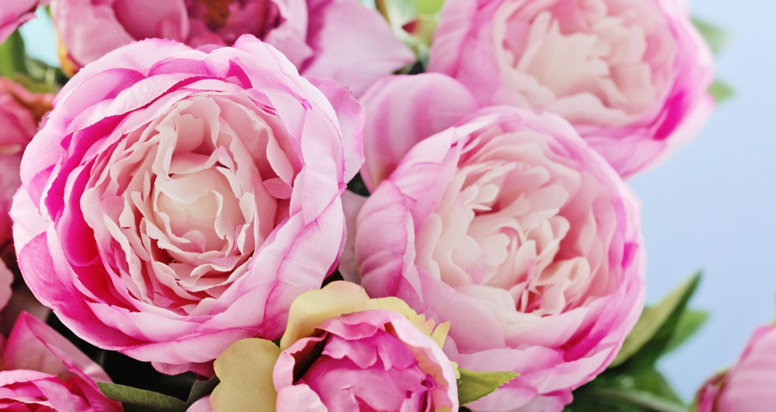 5 Favorite Flowers To Give Mom on Mother's Day Farmers' Almanac