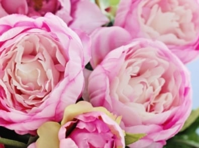 5 Favorite Flowers To Give Mom on Mother’s Day featured image