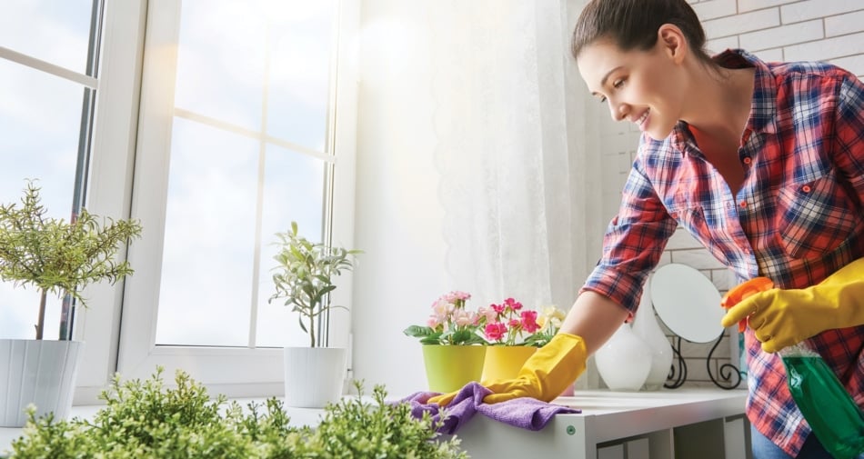 Love My Maids - Cleaning