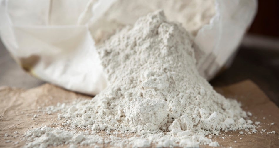 Diatomaceous earth - Pest